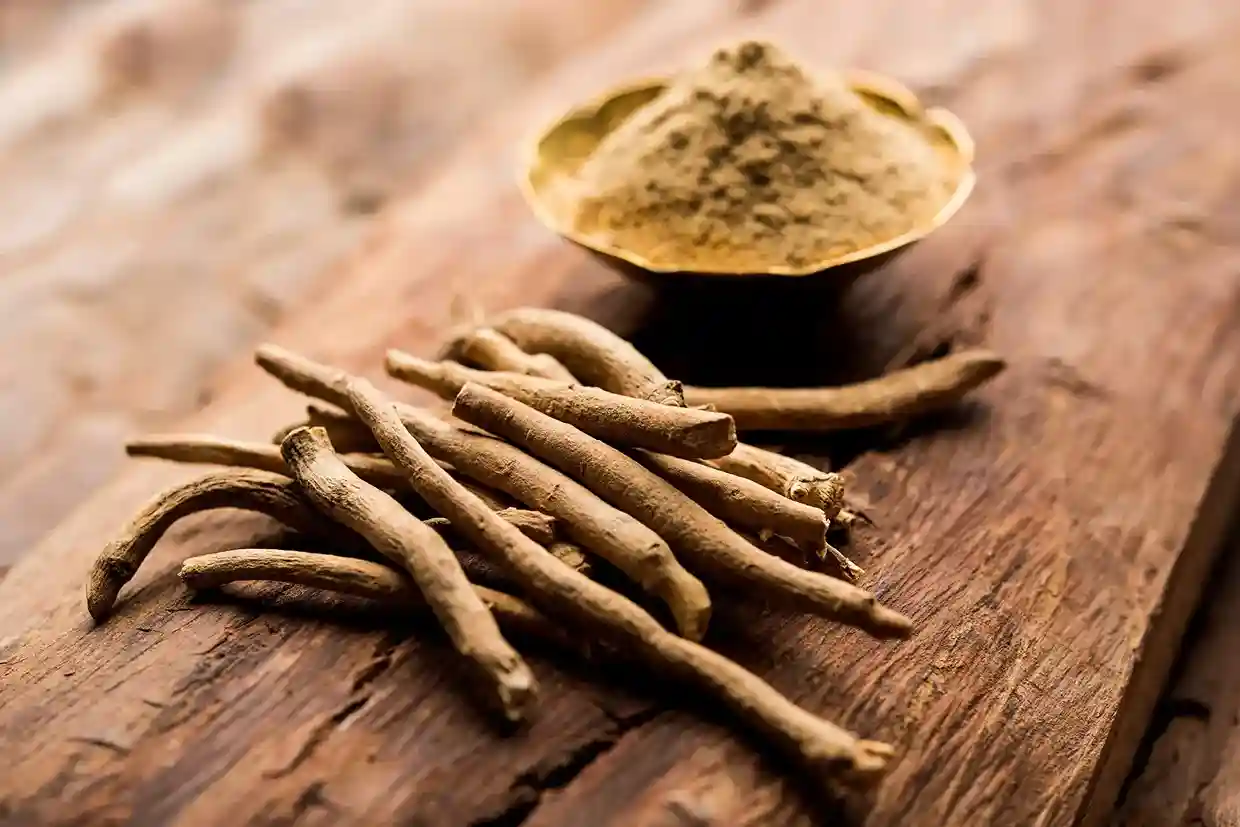 The Amazing Mind and Body Benefits of Ashwagandha