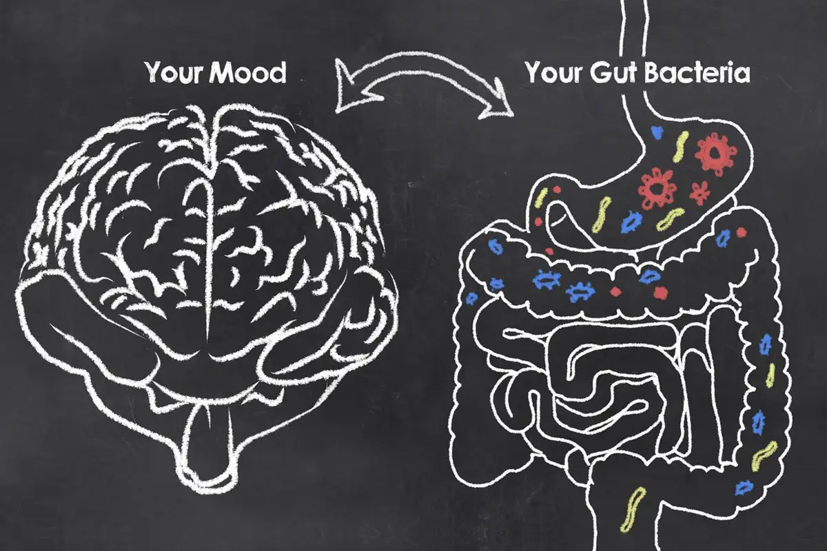 Is There A Link Between Gut Health And Brain Health?