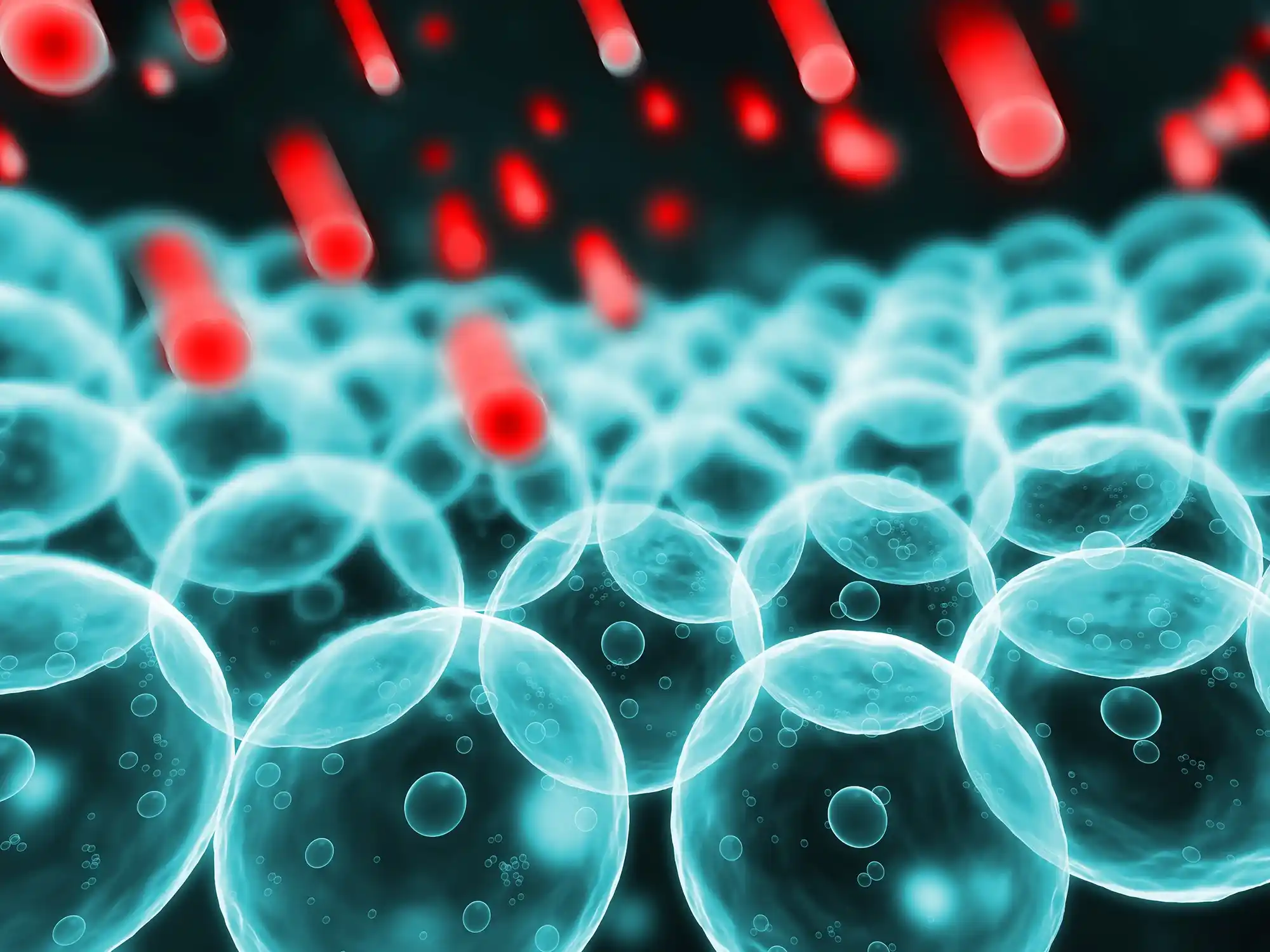 A Focus On Free Radicals