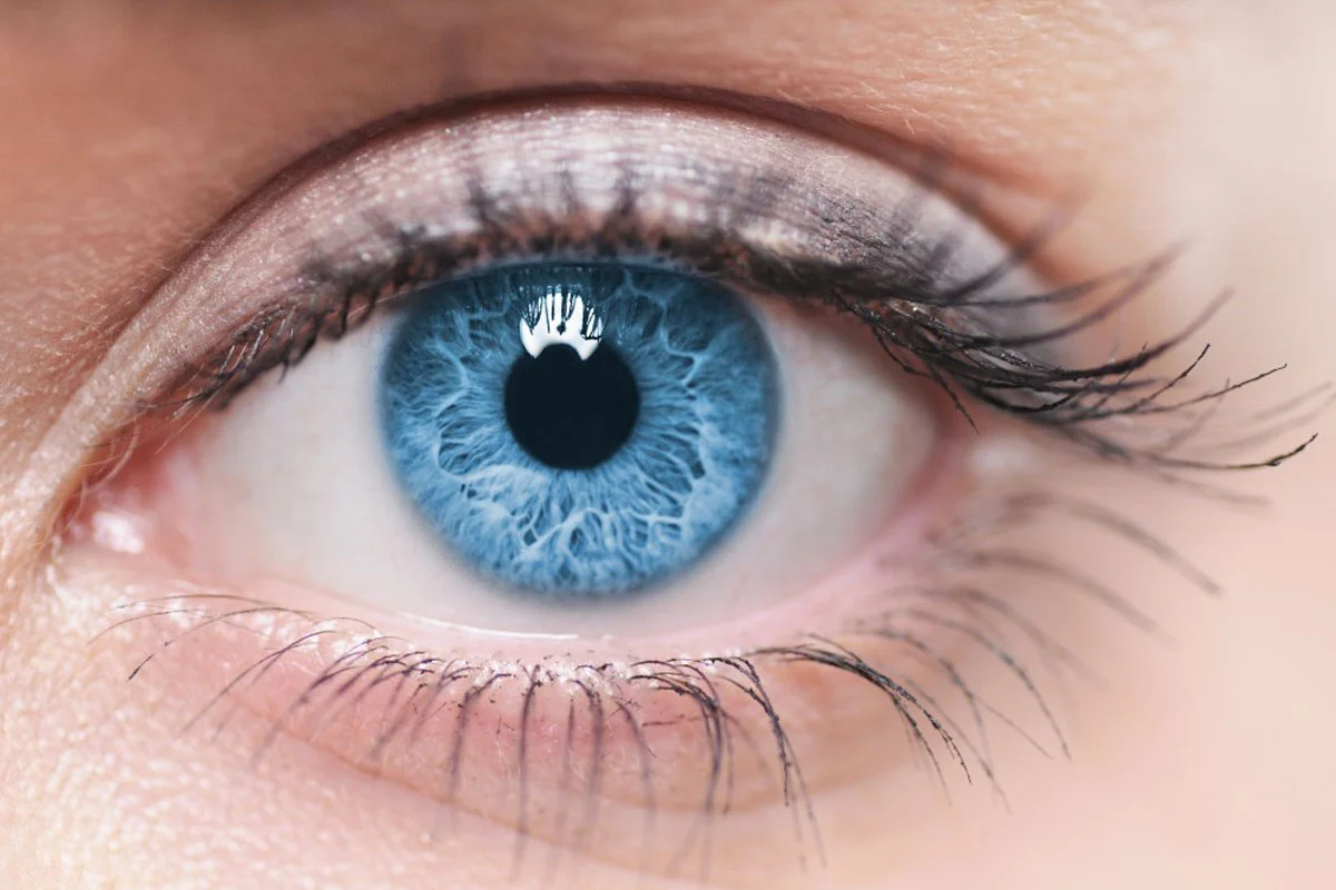 Hyaluronic Acid and Vision