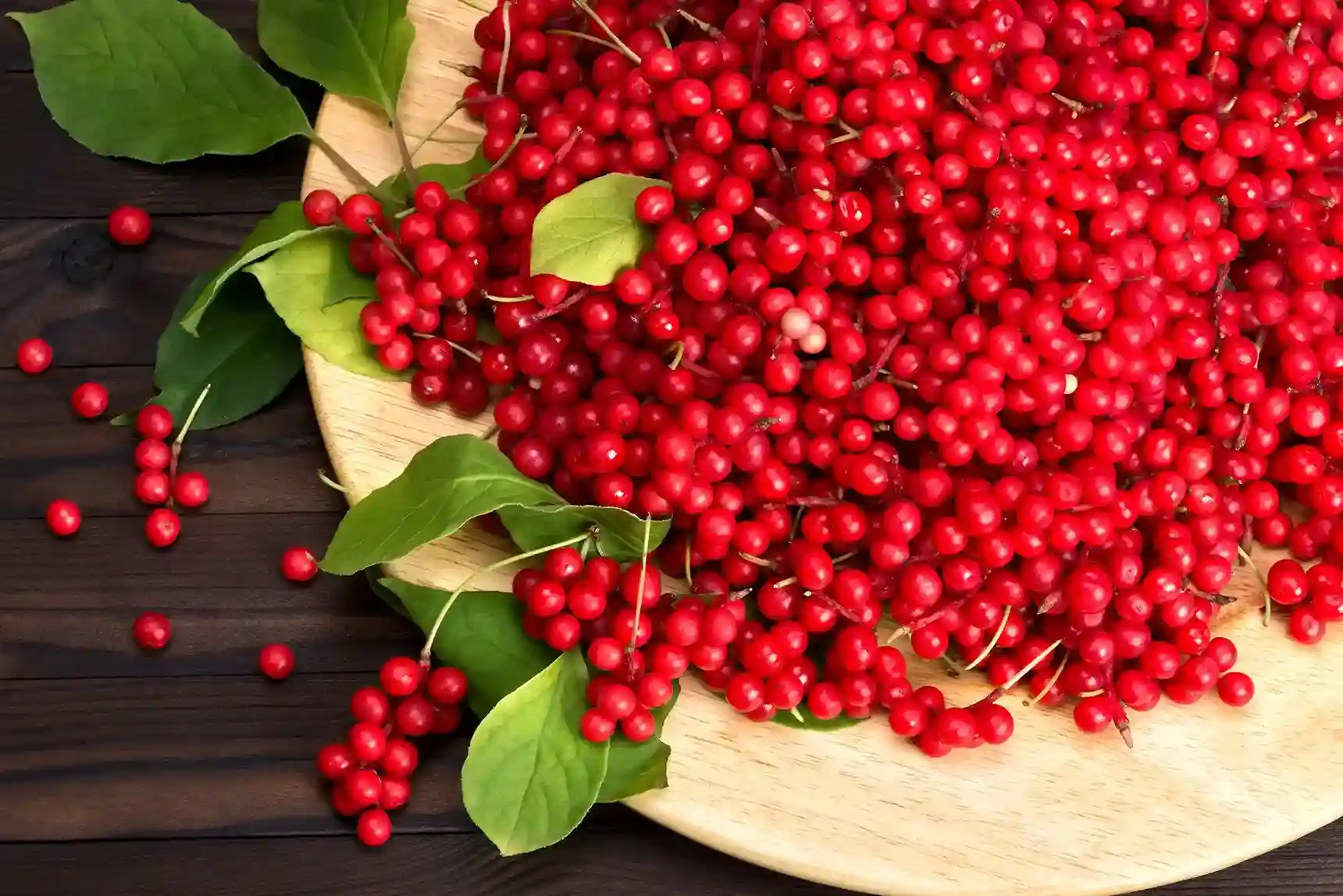 Spotlight on Schisandra: Legendary Adaptogen